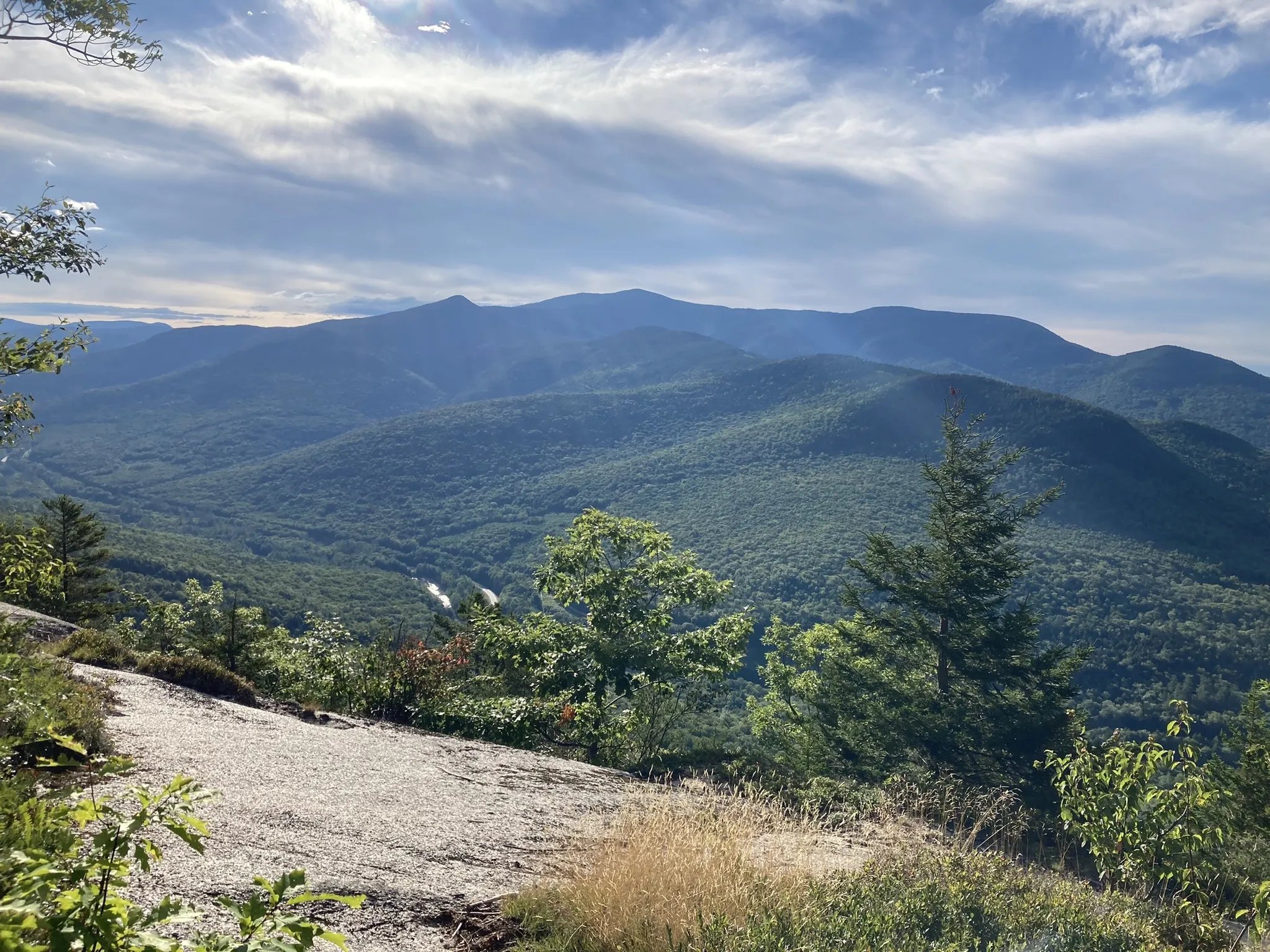 Welch–Dickey Loop summit